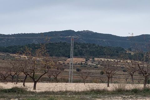 Terra a Pinoso, Alicante, Pinoso - € 125.000 | Ref: V0046-22 - foto 7